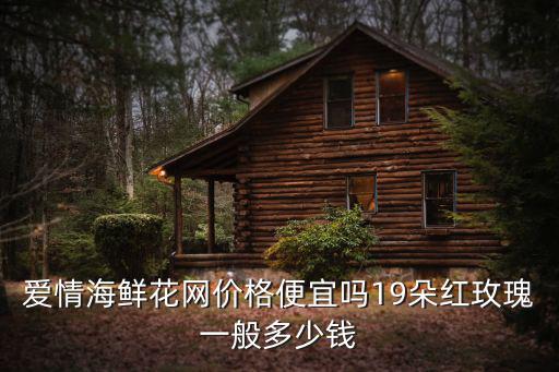 愛情海鮮花網價格便宜嗎19朵紅玫瑰一般多少錢