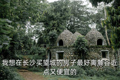 我想在長沙買望城的房子最好離麓谷近點又便宜的