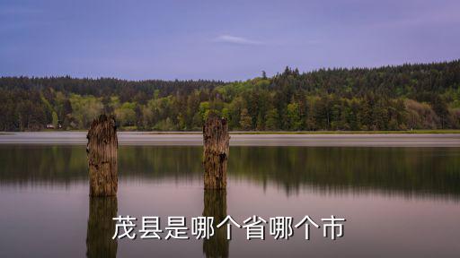 茂縣是哪個省哪個市
