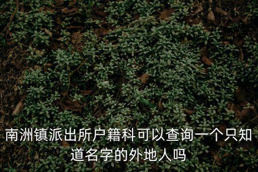 南洲鎮(zhèn)派出所戶籍科可以查詢一個(gè)只知道名字的外地人嗎