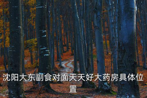 沈陽大東副食對面天天好大藥房具體位置