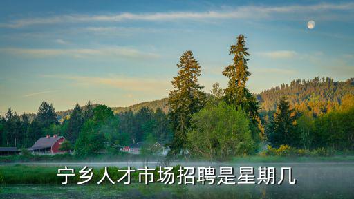 寧鄉人才市場招聘是星期幾