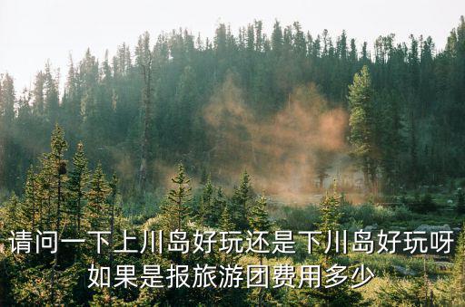 請問一下上川島好玩還是下川島好玩呀如果是報旅游團費用多少
