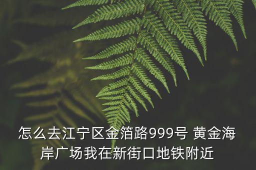 怎么去江寧區金箔路999號 黃金海岸廣場我在新街口地鐵附近