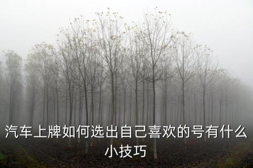 汽車上牌如何選出自己喜歡的號有什么小技巧
