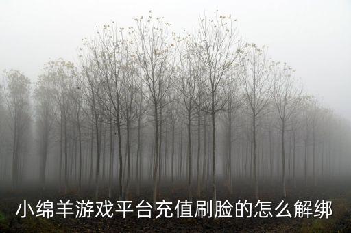 綿陽游戲，小綿羊游戲平臺充值刷臉的怎么解綁