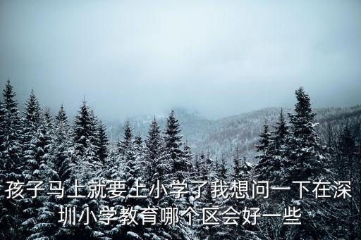 孩子馬上就要上小學了我想問一下在深圳小學教育哪個區會好一些
