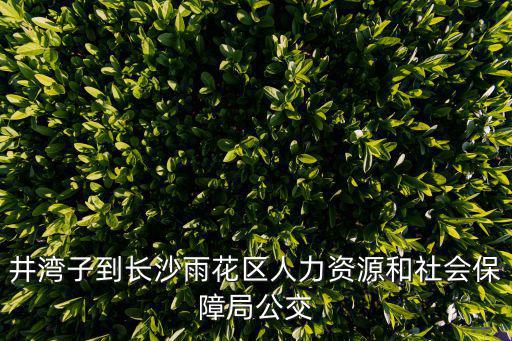 長(zhǎng)沙人力資源和社會(huì)保障局，長(zhǎng)沙市人力資源社會(huì)保障局和長(zhǎng)沙市衛(wèi)生局 去上班的話哪個(gè)待遇好