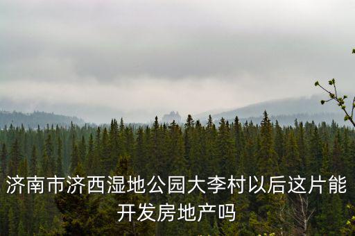 濟西濕地公園，濟南市濟西濕地公園大李村以后這片能開發房地產嗎