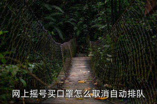 網上搶口罩，如何在網頁上搶東西