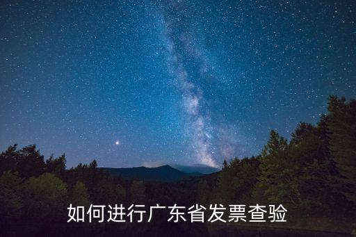 如何進行廣東省發票查驗