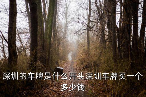 深圳的車牌是什么開頭深圳車牌買一個多少錢