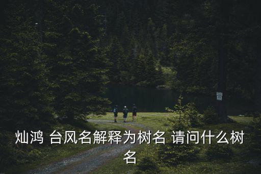 燦鴻 臺風(fēng)名解釋為樹名 請問什么樹名