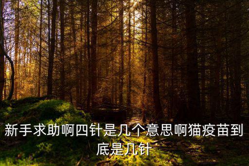 新手求助啊四針是幾個意思啊貓疫苗到底是幾針
