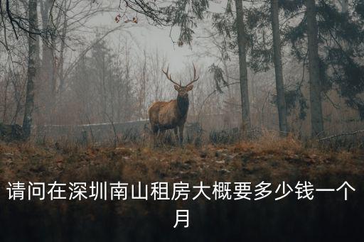 請問在深圳南山租房大概要多少錢一個月