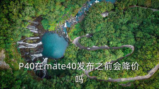 P40在mate40發(fā)布之前會(huì)降價(jià)嗎