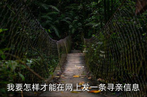 我要怎樣才能在網上發一條尋親信息