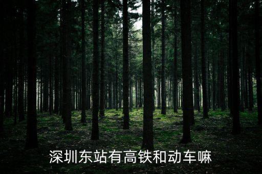深圳東站有高鐵和動車嘛