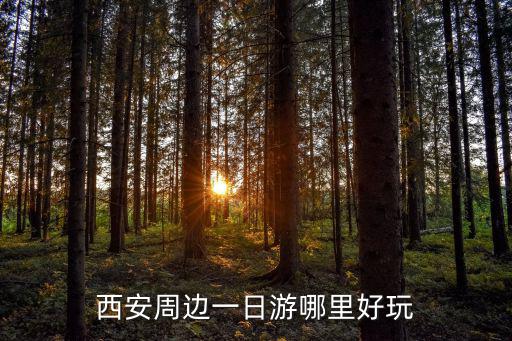 西安周邊一日游哪里好玩