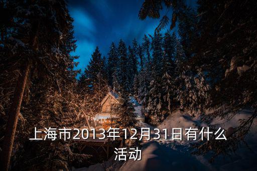 4d燈光秀，上海市2013年12月31日有什么活動