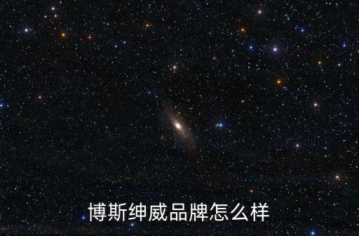 博斯紳威品牌怎么樣