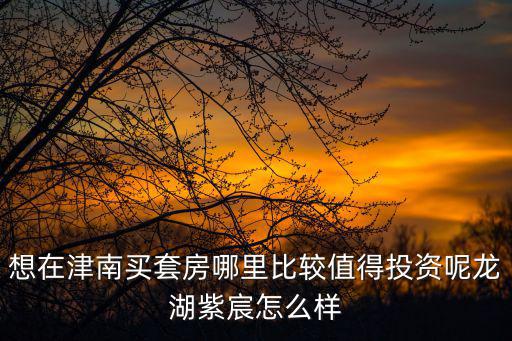 想在津南買套房哪里比較值得投資呢龍湖紫宸怎么樣