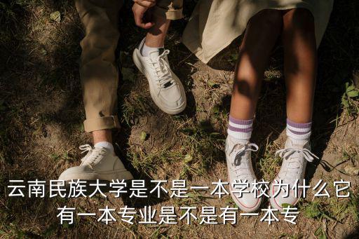 云南民族大學是不是一本學校為什么它有一本專業是不是有一本專