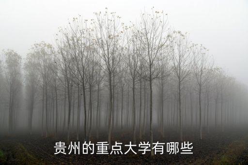 貴州的重點大學有哪些