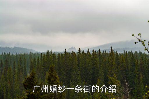 廣州婚紗一條街的介紹