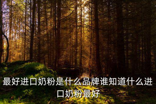 最好進口奶粉是什么品牌誰知道什么進口奶粉最好