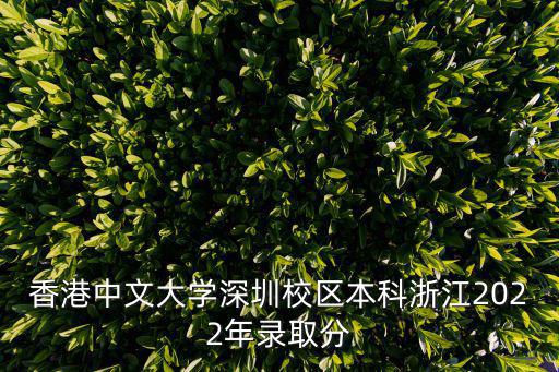香港中文大學深圳校區本科浙江2022年錄取分