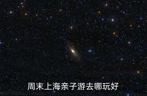 周末上海親子游去哪玩好