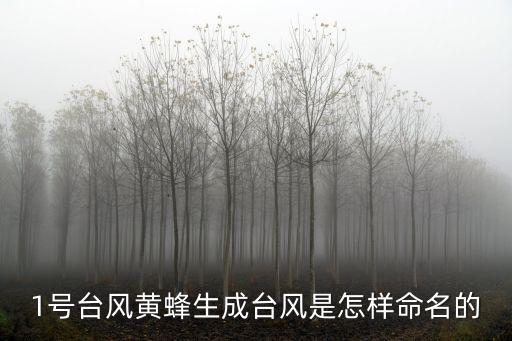 1號臺風黃蜂生成臺風是怎樣命名的