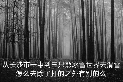 三只熊冰雪王國，從長沙市一中到三只熊冰雪世界去滑雪怎么去除了打的之外有別的么
