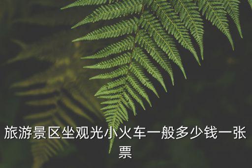 旅游景區(qū)坐觀光小火車一般多少錢一張票