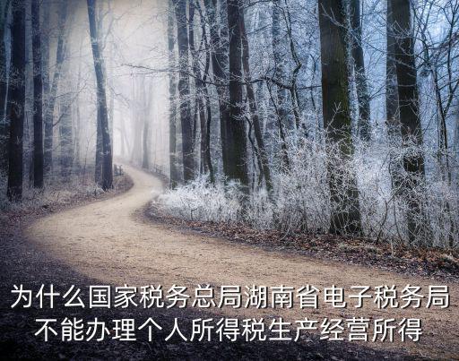 為什么國家稅務總局湖南省電子稅務局不能辦理個人所得稅生產經營所得