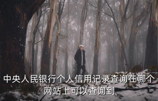 中央人民銀行個人信用記錄查詢在哪個網站上可以查詢到