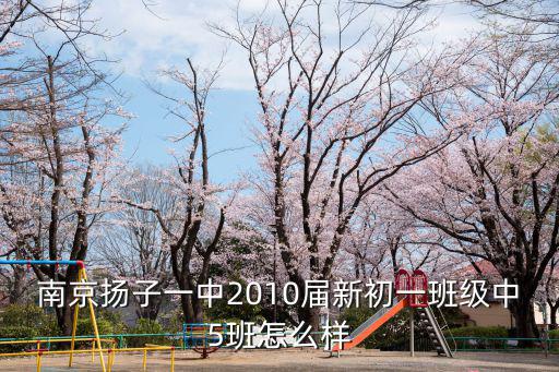 南京揚(yáng)子一中2010屆新初一班級(jí)中5班怎么樣