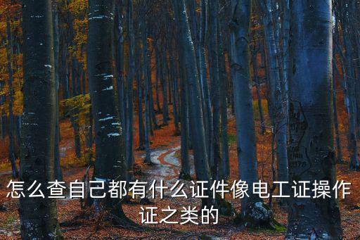 怎么查自己都有什么證件像電工證操作證之類的