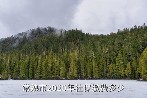 常熟市2020年社保繳費多少