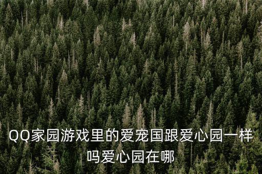 愛心園，手機(jī)寵物里的愛心園在什么地方