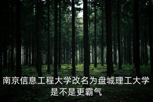 南京信息工程大學改名為盤城理工大學是不是更霸氣