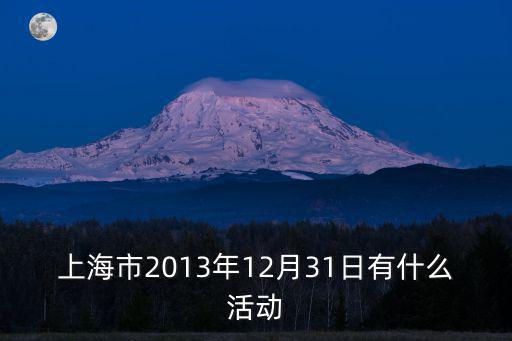 上海市2013年12月31日有什么活動