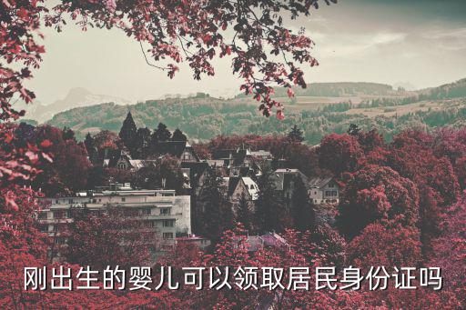 剛出生的嬰兒可以領取居民身份證嗎