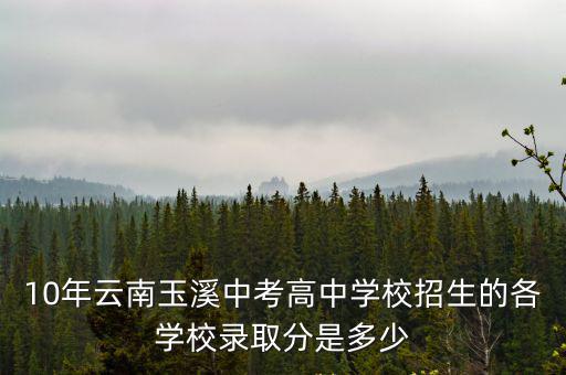 高中學校招生，10年云南玉溪中考高中學校招生的各學校錄取分是多少