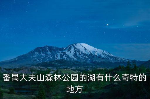 番禺大夫山森林公園的湖有什么奇特的地方