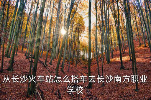 從長沙火車站怎么搭車去長沙南方職業學校