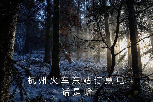 杭 州 火 車 東 站 訂 票 電 話 是 啥