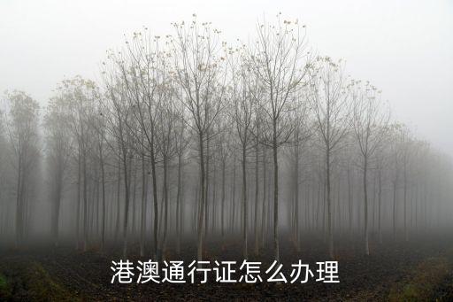 港澳通行證怎么辦理