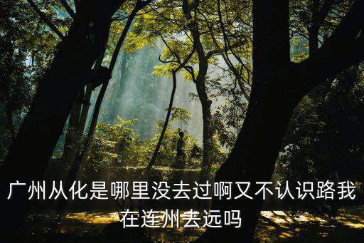 廣州從化是哪里沒去過啊又不認(rèn)識(shí)路我在連州去遠(yuǎn)嗎